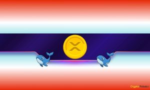 Read more about the article Major Ripple (XRP) Price Warning: Big Whale Exodus Sparks New Crash Fears
