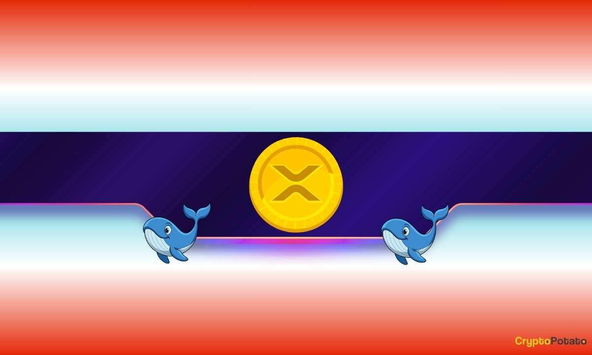 You are currently viewing Major Ripple (XRP) Price Warning: Big Whale Exodus Sparks New Crash Fears