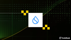 Read more about the article Sui Blockchain to Host Native Stablecoins Backed by Ethena and BlackRock's Tokenized Fund
