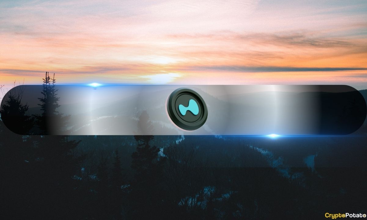 You are currently viewing Whale Wars: Bulls and Bears Battle for Control on Hyperliquid