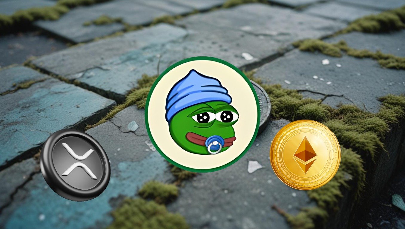 You are currently viewing The 5 Top Cryptos to Invest in Today as Bears Dominate the Market