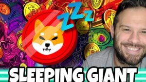 Read more about the article Shiba Inu Price Prediction: Analysts Say The ‘Sleeper Coin’ May See An Explosive Rally