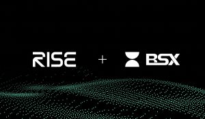 Read more about the article RISE Acquires BSX, a Perp DEX on Base, to Accelerate Development of the First Integrated Orderbooks