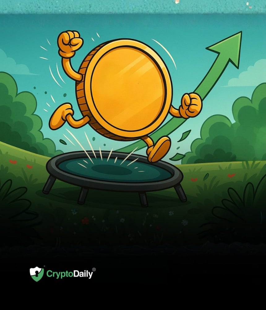 You are currently viewing Altcoins Bounce After Bloodbath Collapse: Relief Rally or Real Recovery? Market Analysis