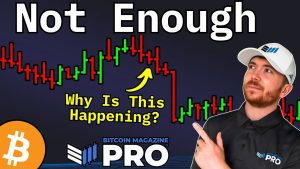 Read more about the article Bitcoin Price Slump Could Spark Next Bull Run