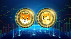 Read more about the article DOGE and SHIB Could Rally to Big Heights – but Digitap's Real-World Utility May Outshine Them Both