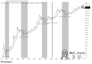 Read more about the article History Says Bitcoin (BTC) May Fall 60% If This Key Support Fails to Hold
