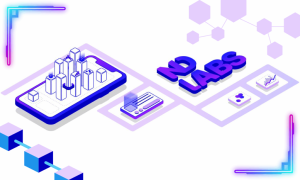 Read more about the article ND Labs: Easing Crypto Wallet Creation Through White Label Services