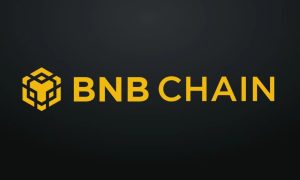 Read more about the article BNB Chain Brings Crypto Payment Access to Amazon Web Services (AWS) Customers via Better Payment Network (BPN)