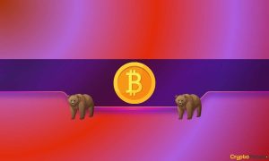 Read more about the article Is the Bitcoin Price at Risk of Falling Further? Market Faces Critical Test Below Bull Channel