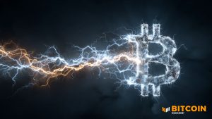 Read more about the article BitGo Enables Lightning Network Payments Directly from Custody