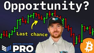 Read more about the article Bitcoin Treasury Companies Are Undervalued