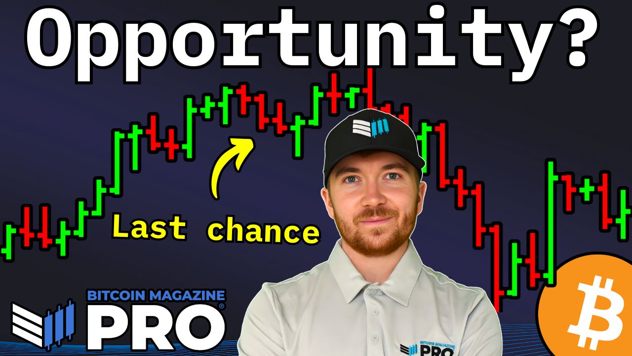 You are currently viewing Bitcoin Treasury Companies Are Undervalued