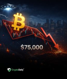 Read more about the article Bitcoin Teetering at Bear Flag Bottom: Imminent Crash Through to $75K or Lower?