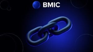 Read more about the article Why Platforms Like BMIC Matter More During Bear Market Conditions – Best Crypto Presale to Buy Now?