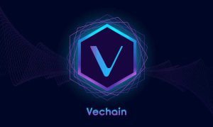 Read more about the article VeChain Shows How Real-Time Data Can Transform Global Supply Chains