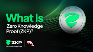 Read more about the article Zero Knowledge Proof (ZKP): Why It’s Becoming the Go-To Path for Private, Verifiable Compute
