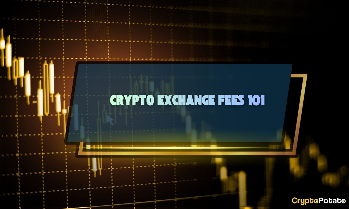 You are currently viewing ​Crypto Exchange Fees Explained: Hidden Costs & How to Save