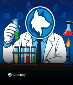 Read more about the article Husky Inu (HINU) Reaches $0.00023567 As Bitcoin (BTC) Reclaims $92,000