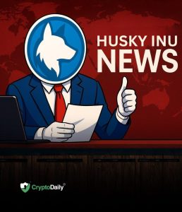 Read more about the article Husky Inu (HINU) Reaches $0.00023658 As Bitcoin (BTC) Briefly Dips Below $90,000