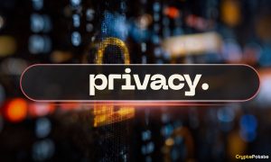 Read more about the article Why Privacy in Crypto is Back on the Menu: Dash Core Member Joël Valenzuela Chips In