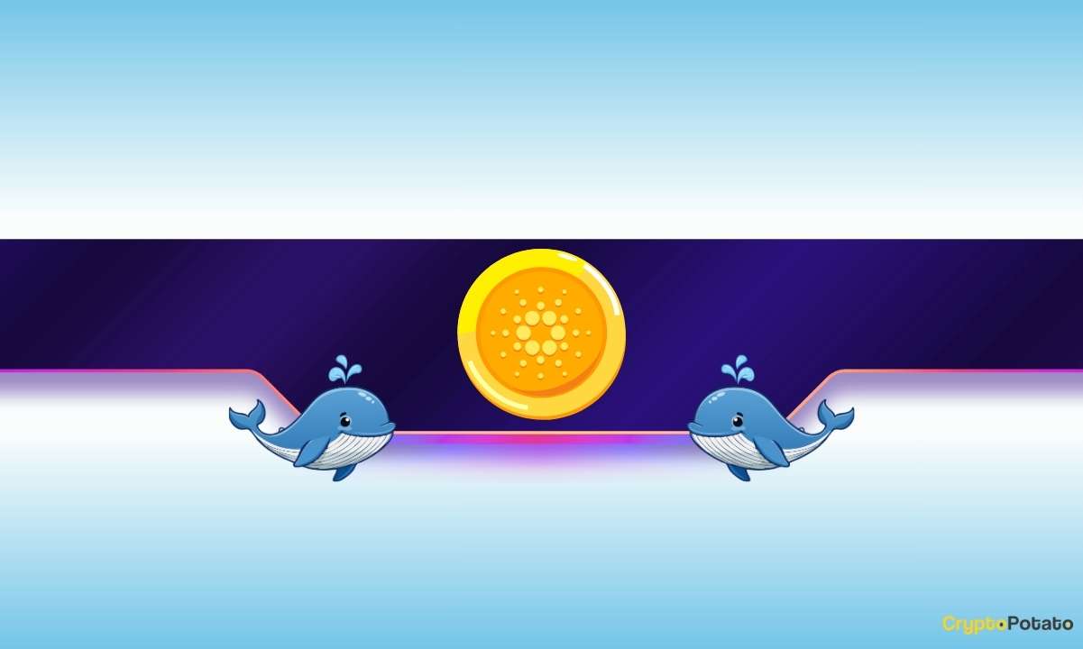 You are currently viewing 450,000,000 ADA in 2 Months: Is Cardano’s Price on the Verge of a Rally?