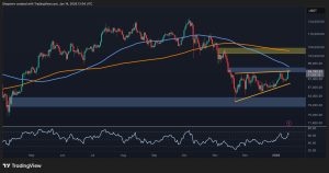 Read more about the article Bitcoin Price Analysis: Push to $100K Next for BTC or Is the Rally Running Out of Steam?