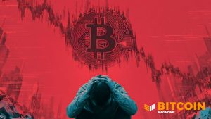 Read more about the article Bitcoin Price Crashes to $75,000 Range As Broader Crypto Market Sells-Off