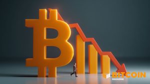 Read more about the article Cathie Wood Says Bitcoin Price Is Nearing End of Down Cycle, Predicts ‘Shallowest Four-Year Decline’