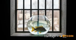 Read more about the article Samourai Letter #2: Notes From The Inside