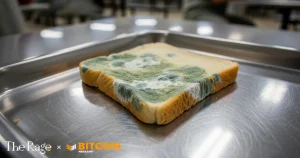 Read more about the article Samourai Letter #3: Notes From The Inside