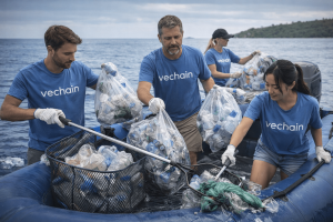 Read more about the article VeChain’s VeBetter Powers Millions of Sustainable Actions Through 4ocean Partnership
