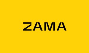 Read more about the article Zama’s Public Auction Attracts $118 Million for Ethereum’s First Encrypted ICO