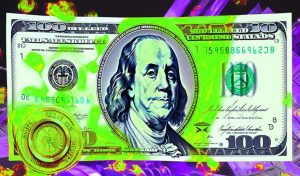 Read more about the article US Heiress Slaps Billion-Dollar Lawsuit on Banks for Allegedly Aiding the Looting of Her $350,000,000 Trust Fund