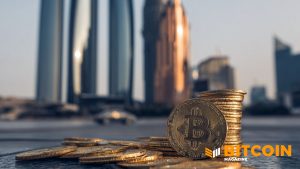 Read more about the article Abu Dhabi’s Al Warda Raises Bitcoin ETF Stake to 8.2 Million IBIT Shares in Q4 Filing