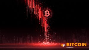 Read more about the article Bitcoin Price Plunges 40% From All-Time Highs to One-Year Lows