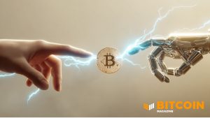 Read more about the article Bitcoin’s 50% Slide: Quantum Scare or Capital Rotation?