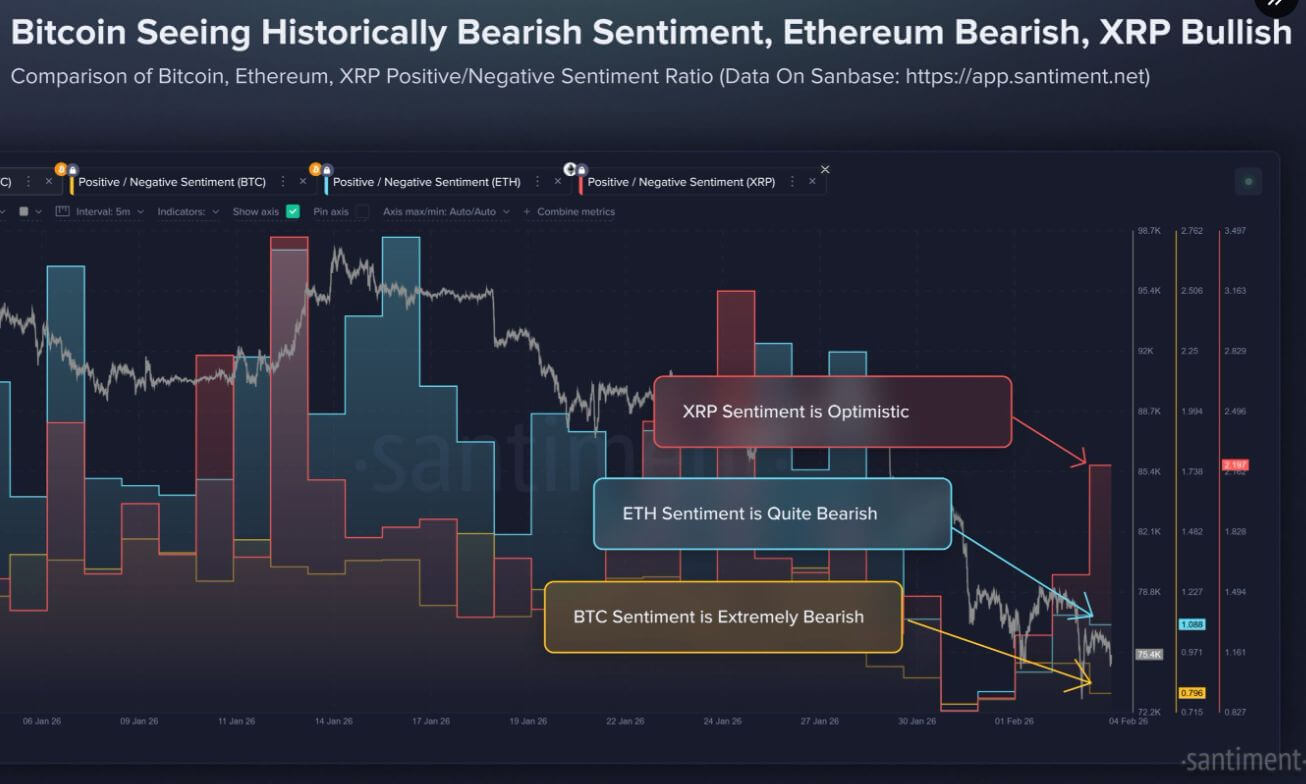 Read more about the article XRP defiant amid Bitcoin collapse as a massive institutional migration quietly shifts billions into Ripple