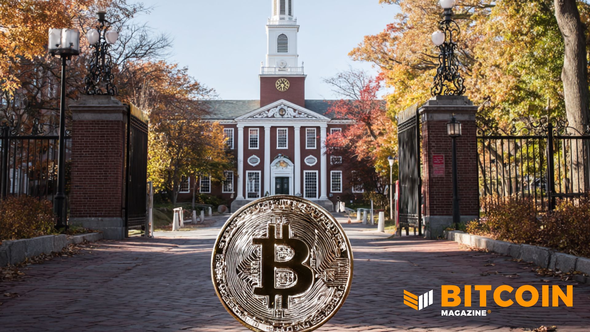 Read more about the article Harvard Trims Bitcoin Position by 21% in Q4 Portfolio Shift