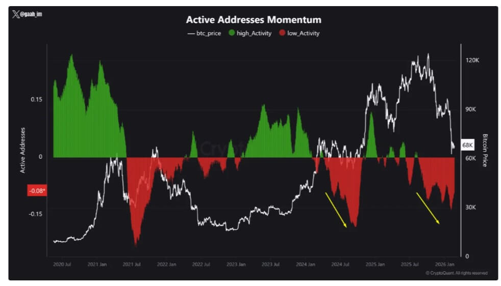 You are currently viewing Bitcoin looks busy but 31% of its users vanished as ETFs bleed $4.5B in 2026