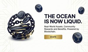 Read more about the article INVESTING YACHTS Launches RWA Yacht Charter Model